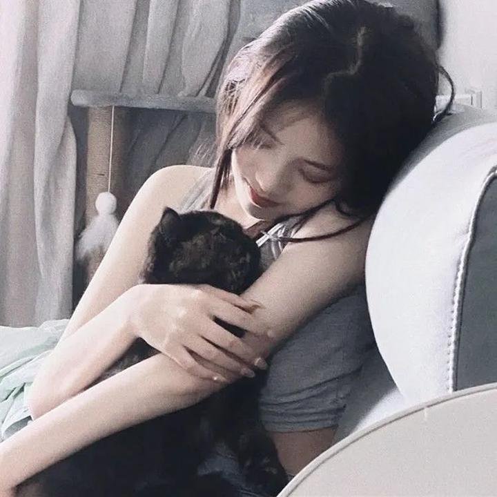 狗纹龙爸爸