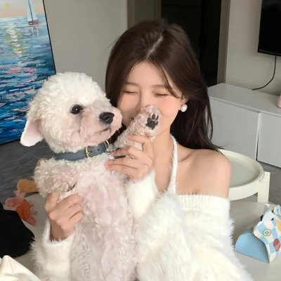 捣乱的三网客